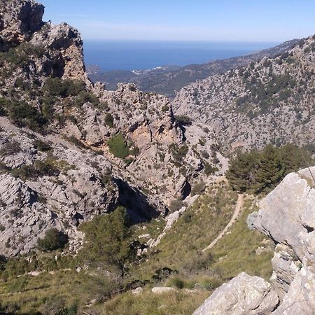 Casita De Montana Cerca Del Mar Pensionat Fornalutx Exteriör bild