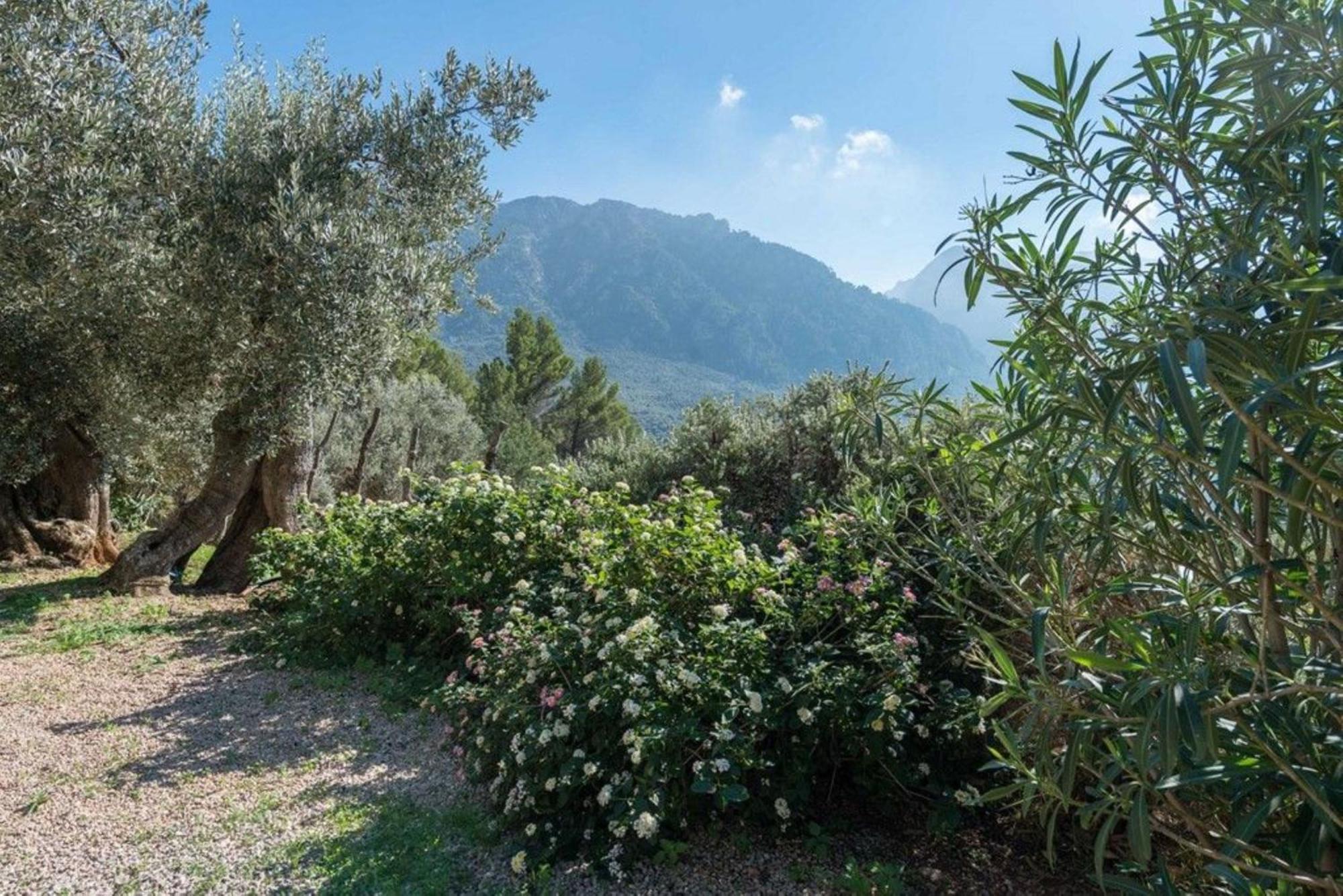 Casita De Montana Cerca Del Mar Pensionat Fornalutx Exteriör bild